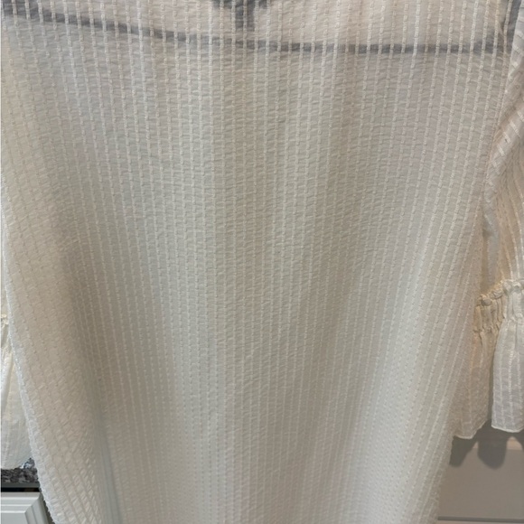 Medium Sheer White Ann Taylor Flounce Short Sleeve Blouse - Picture 6 of 8